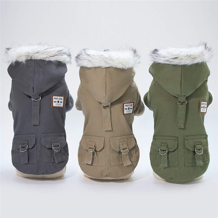 Winter Clothing In French - Cho Thú Cưng Quần Áo Dành