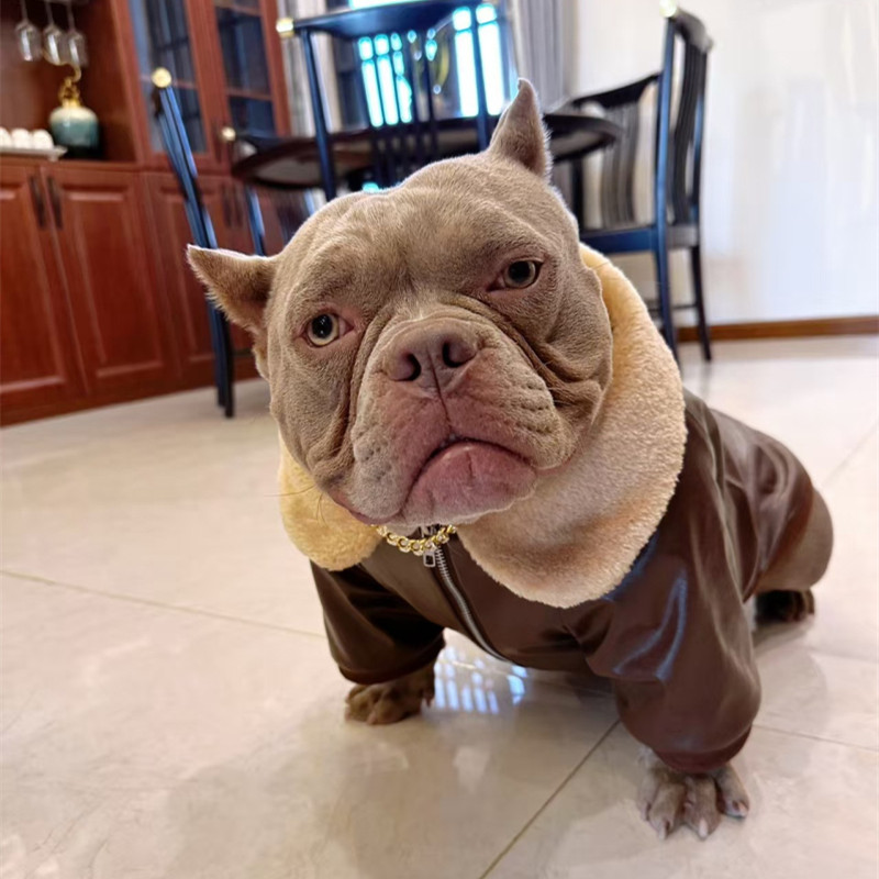 Winter Clothing In French - Pug Dog Coat Jacket Winter French