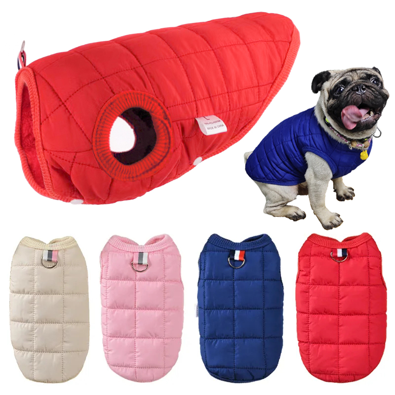 Winter Clothing In French - Mùa Đông Thú Bông Vải Bông
