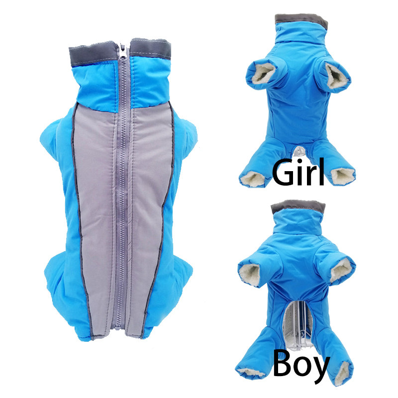 Winter Clothing In French - Mùa Đông Cho Thú Cưng Quần
