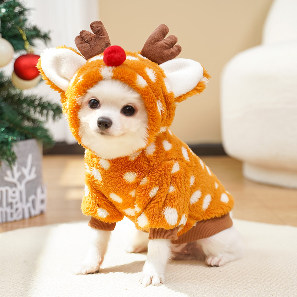 Cute Christmas Reindeer Pet Cl - đánh giá và giá Winter Clothing Must Haves