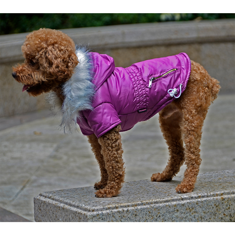 Mùa Đông Quần Áo Cho Ấm Trùm Đ - đánh giá và giá Winter Clothing In French