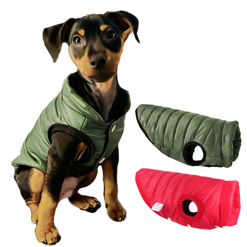 Mùa Đông Quần Áo Cho Ấm Thú Cư - đánh giá và giá Winter Clothing In French