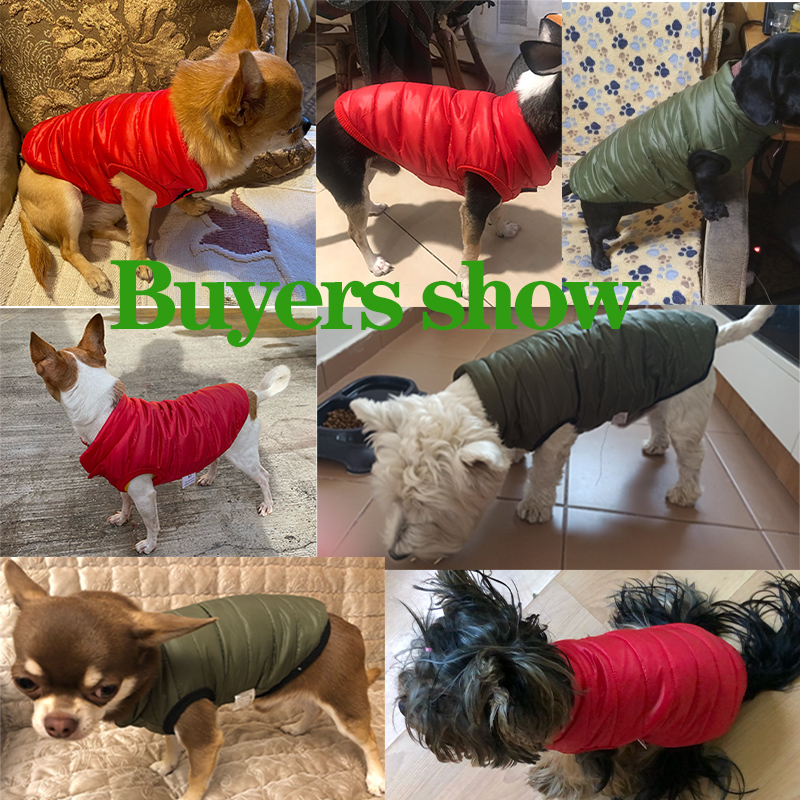 Mùa Đông Quần Áo Cho Ấm Thú Cư - đánh giá và giá Winter Clothing In French