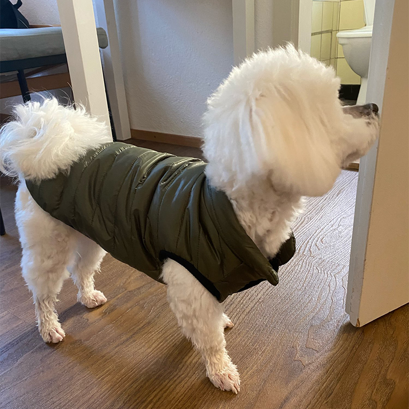 Mùa Đông Quần Áo Cho Ấm Thú Cư - đánh giá và giá Winter Clothing In French