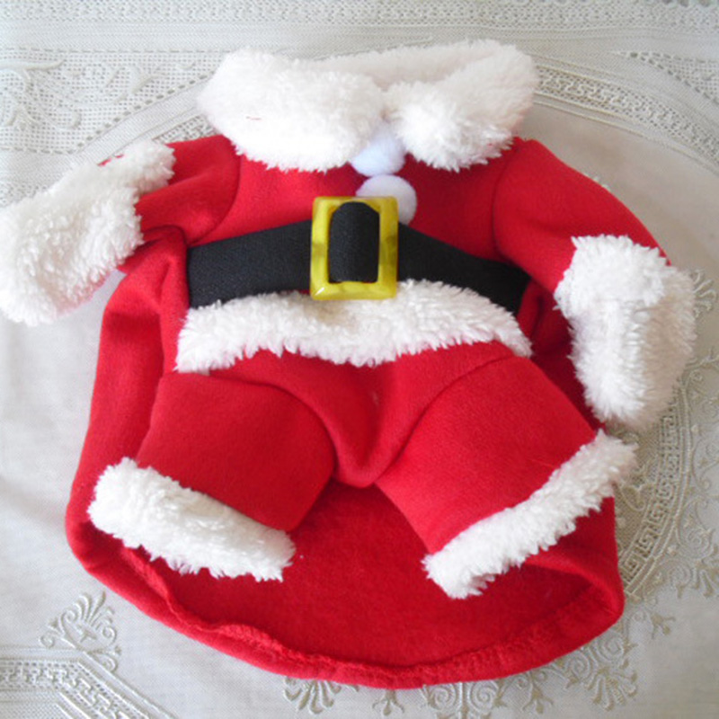 Winter Pet Dog Jacket Coat For - đánh giá và giá Winter Clothing In French