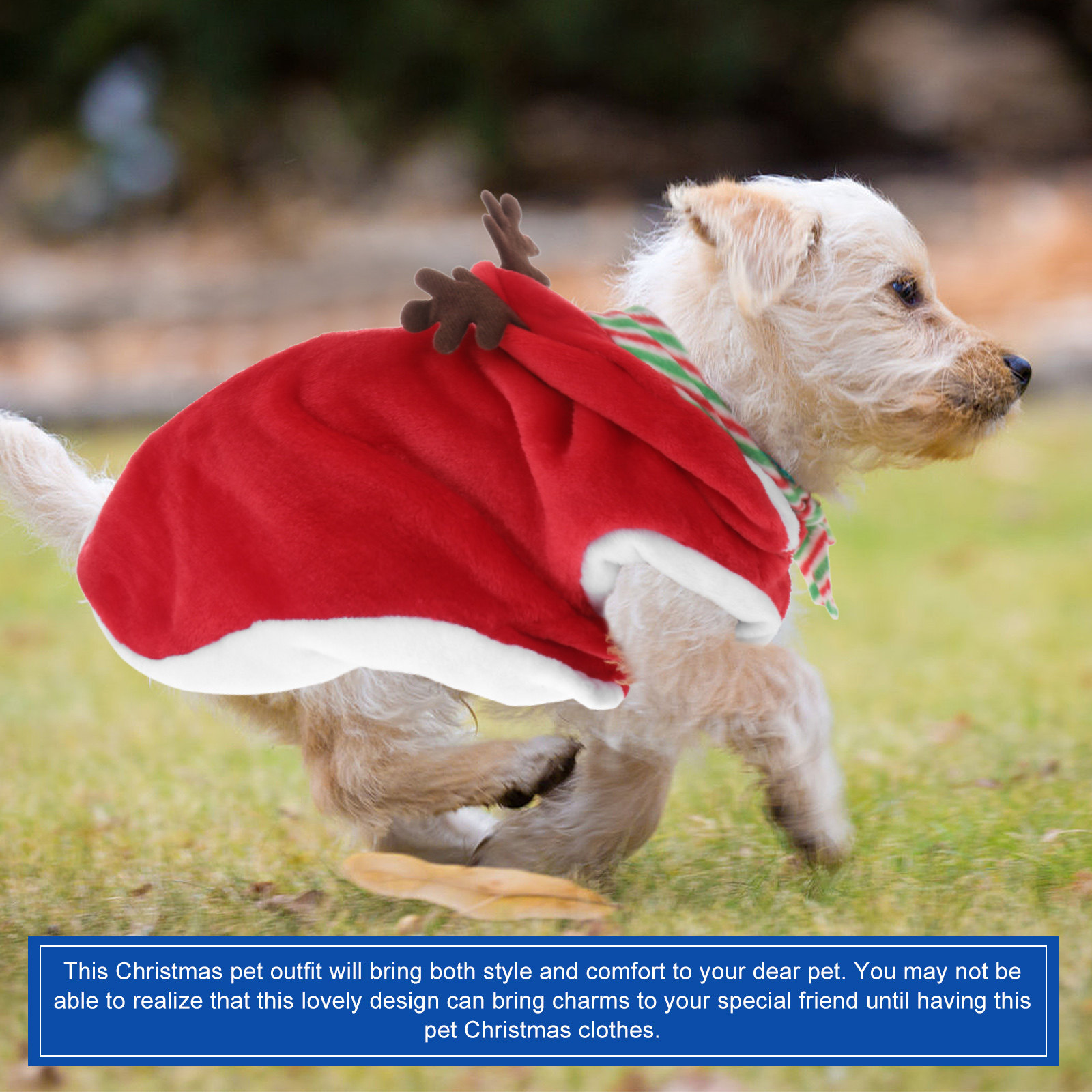 1Set Pet Christmas Clothes Fes - đánh giá và giá Winter Clothing Activity
