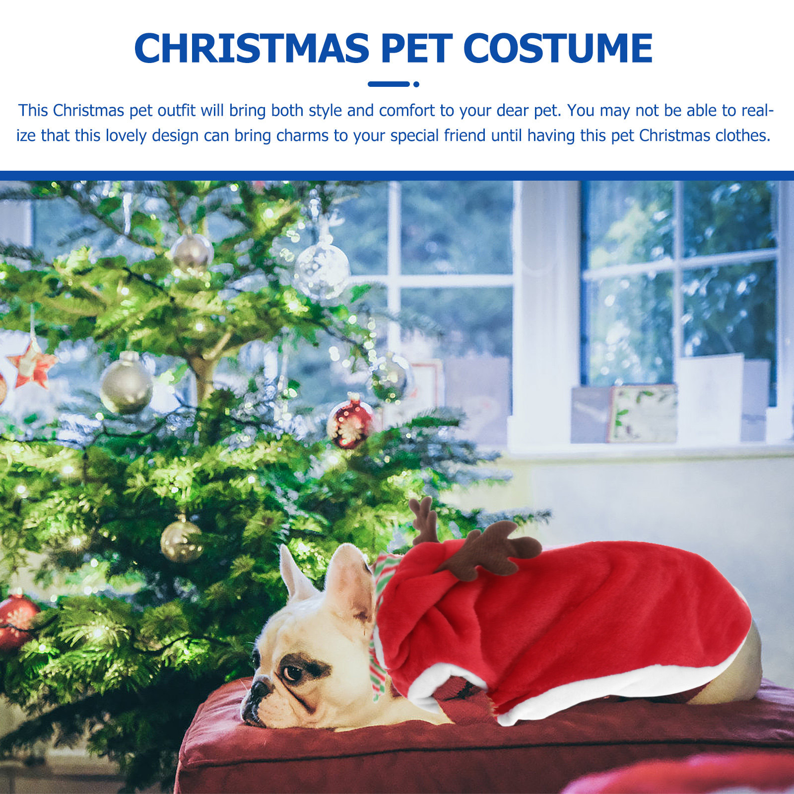 1Set Pet Christmas Clothes Fes - đánh giá và giá Winter Clothing Activity