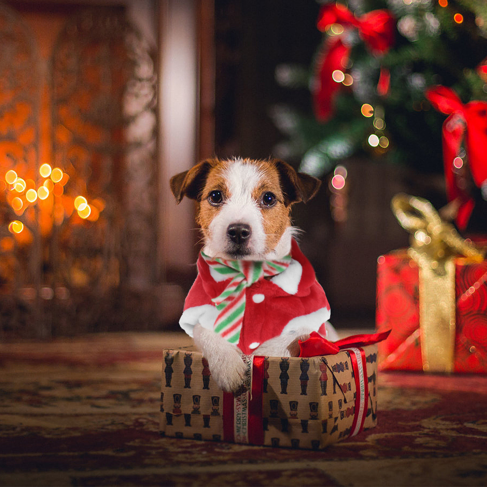 1Set Pet Christmas Clothes Fes - đánh giá và giá Winter Clothing Activity