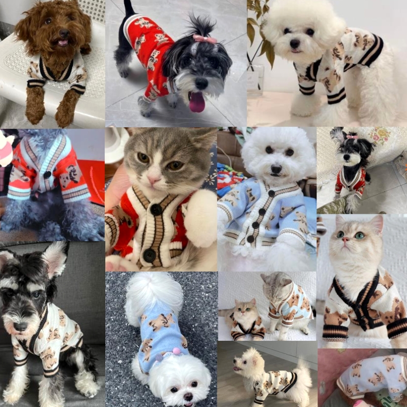 Cao Cấp Quần Áo Cho Halloween  - đánh giá và giá Winter Clothing In French